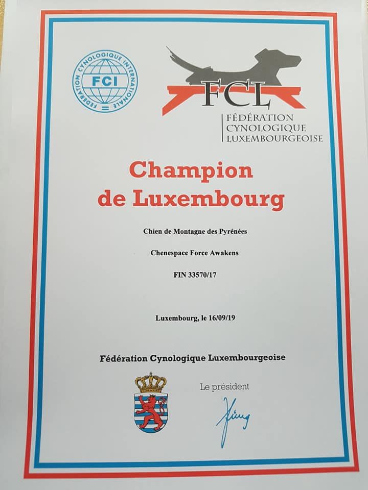 Du Massif De l'Esterel - CHAMPION Du LUXEMBOURG