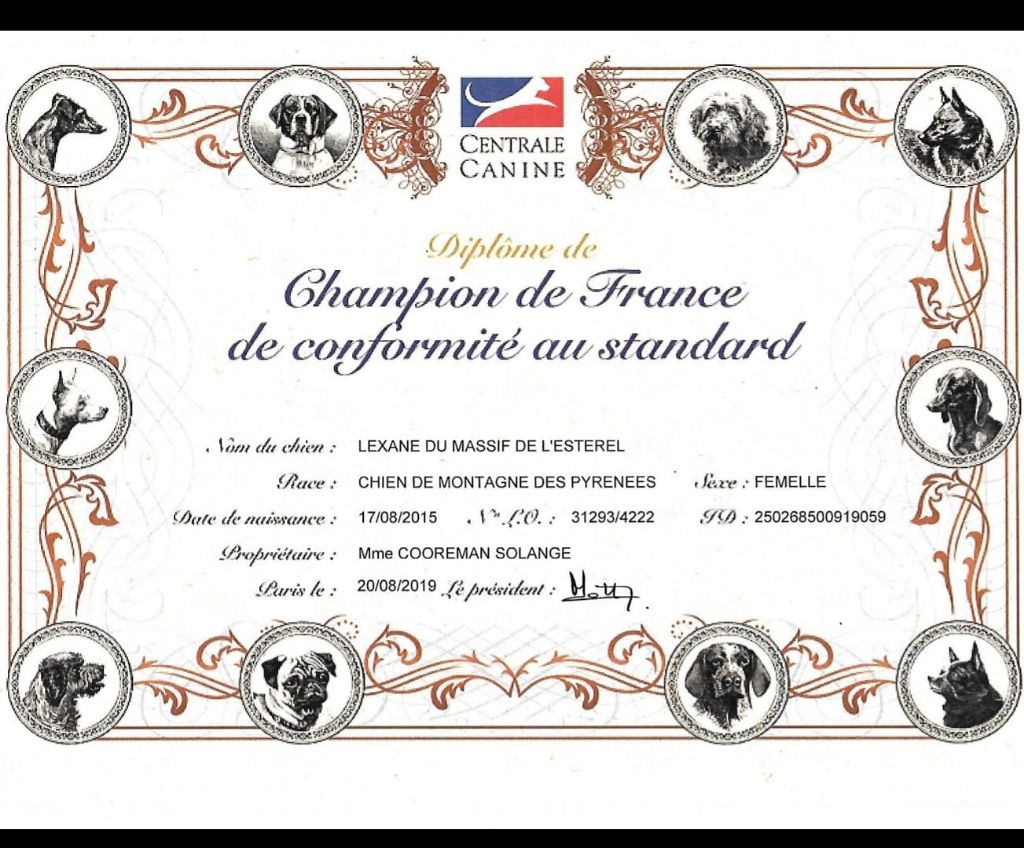 Du Massif De l'Esterel - CHAMPIONNE DE FRANCE 2019
