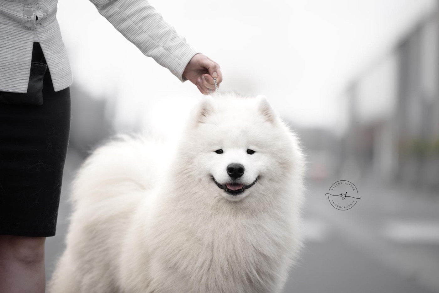 CH. zvyozdnyi mir Hunter jack pot