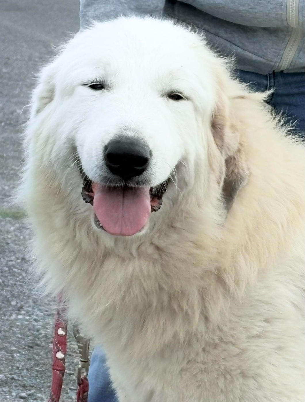 Ustaritz Du Massif De l'Esterel