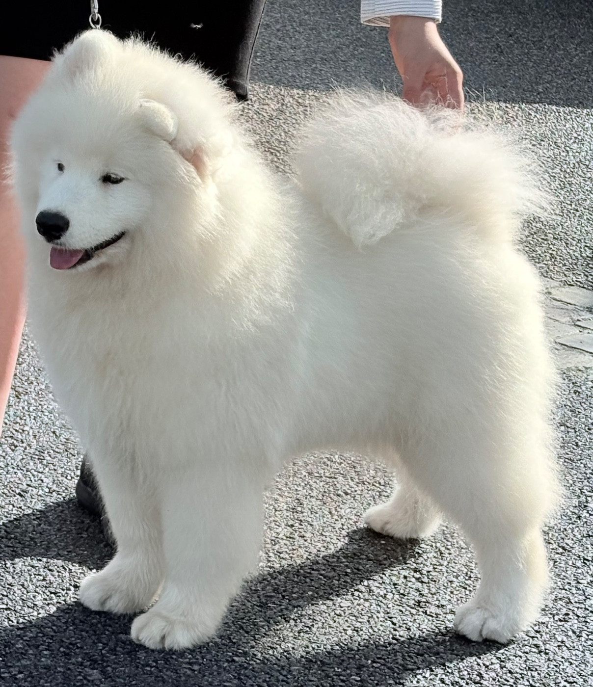 A star is born Du Massif De l'Esterel