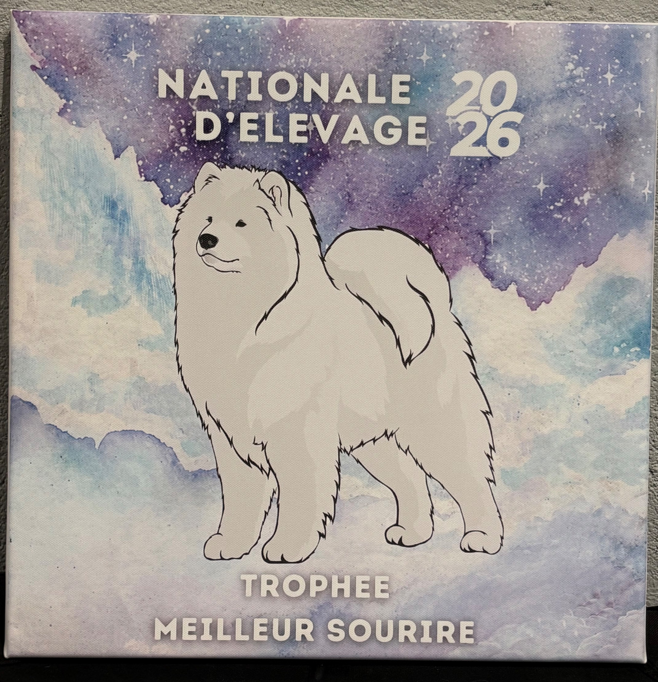 TROPHÉE DU MEILLEUR SOURIRE 2026