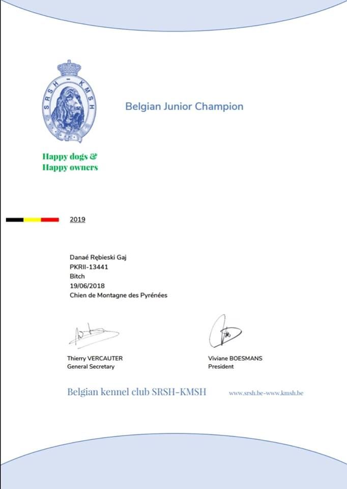 Nos titres de Champions 